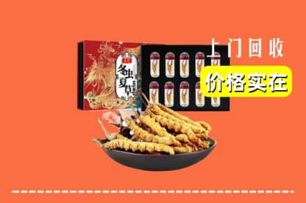 旌德县回收冬虫夏草